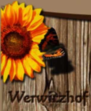 Logo Werwitz